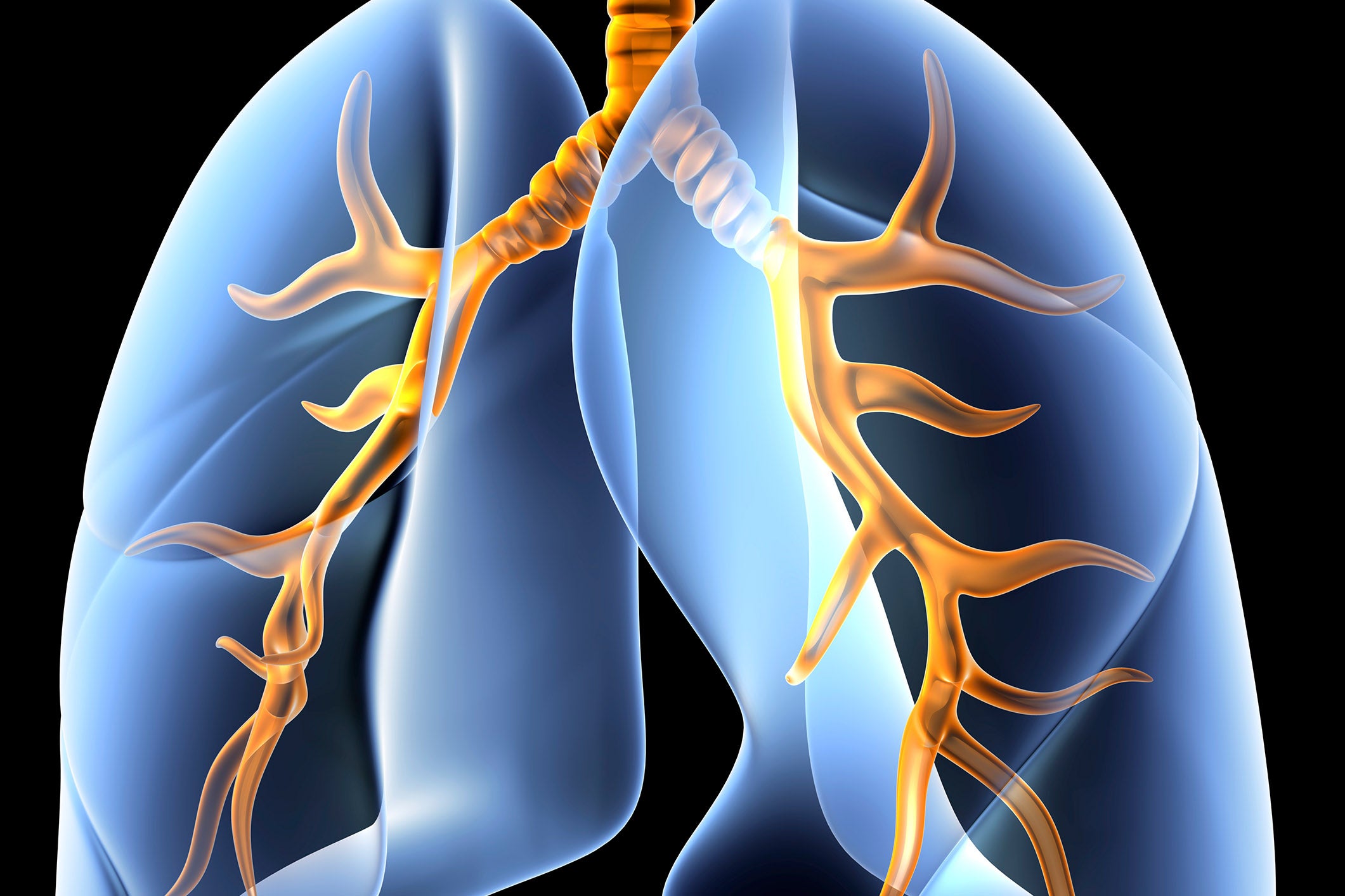 Cardiology