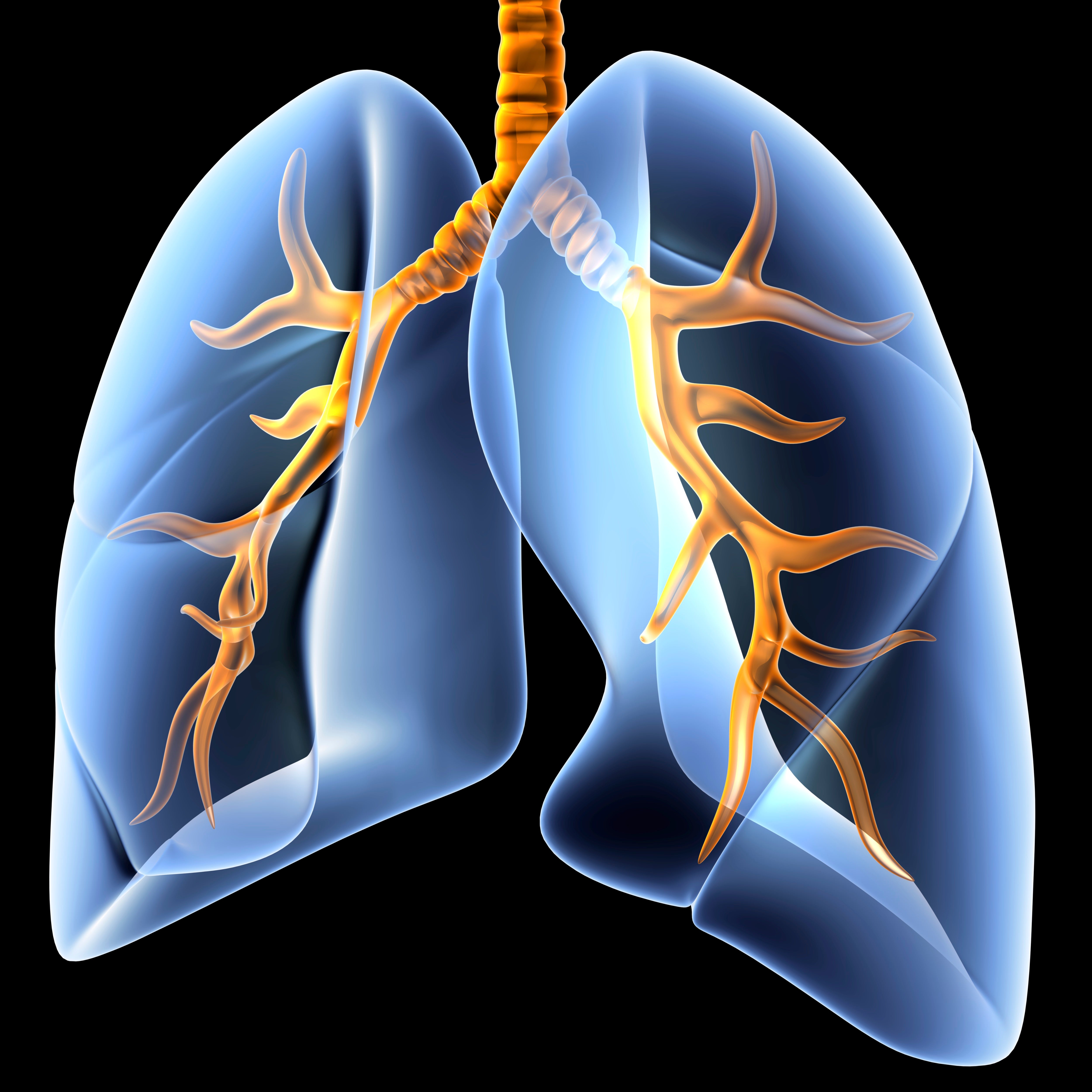 Cardiothoracic Surgery