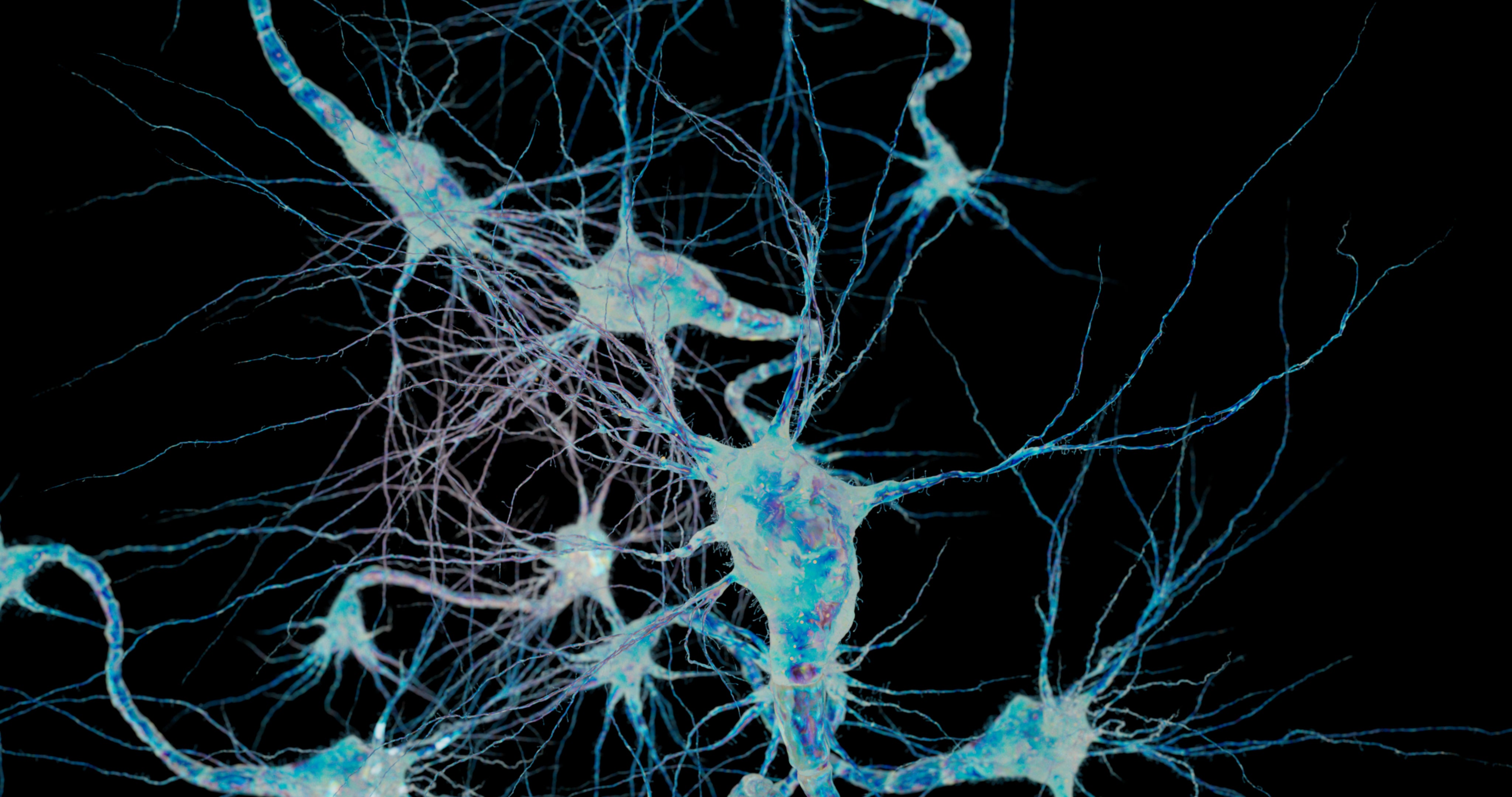 3D render of a a neurological system